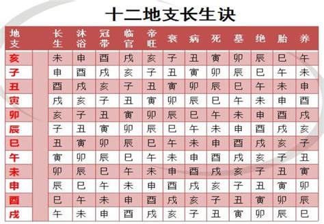 长生八字|八字算命基礎——十二長生